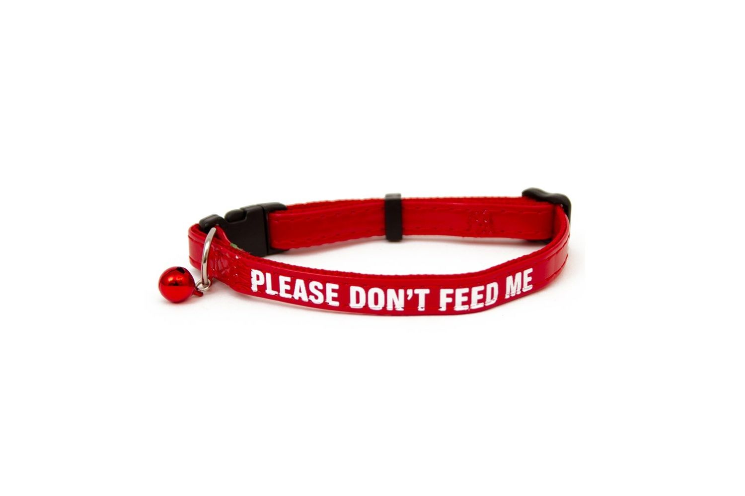  Great&Small Please Don't Feed Cat Collar
