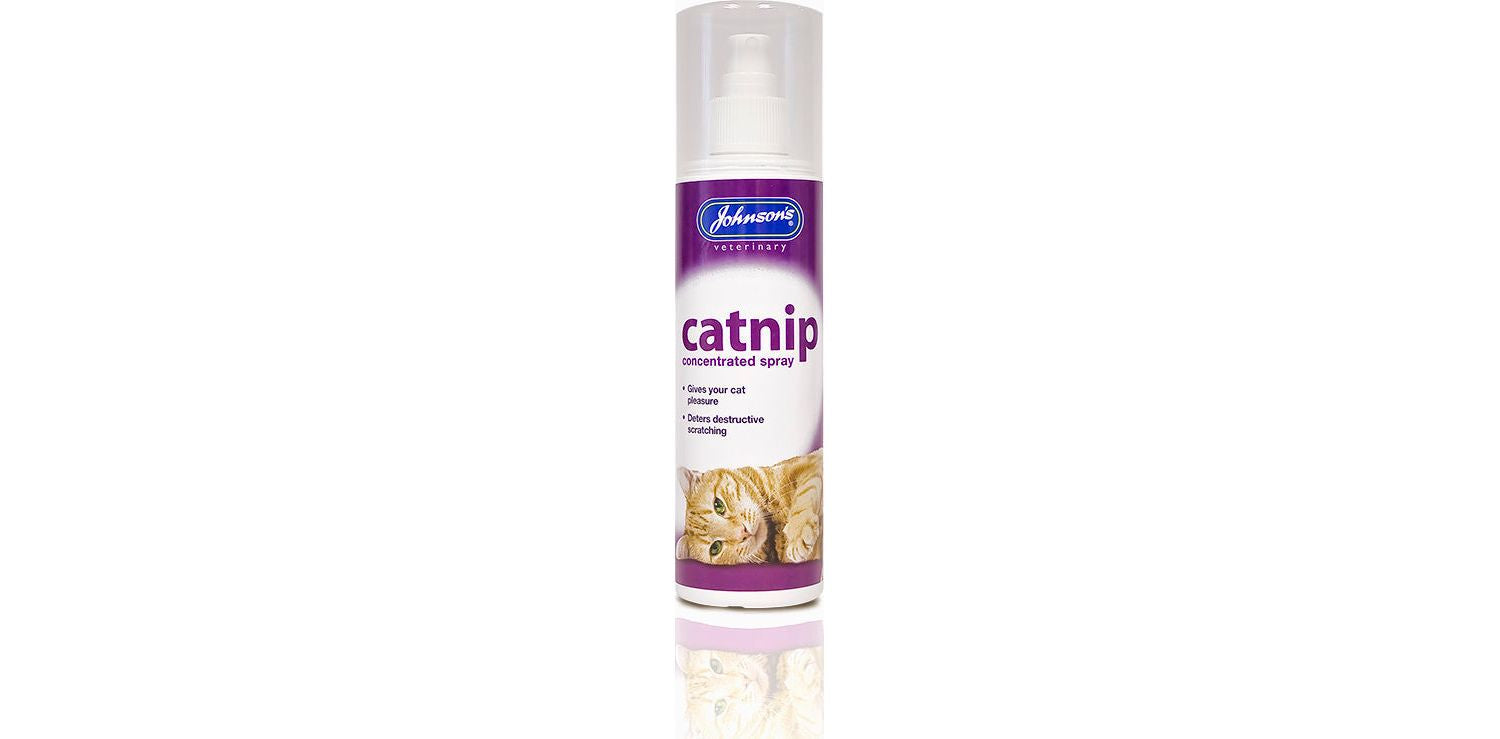  Johnson's Concentrated Catnip Spray 150ml