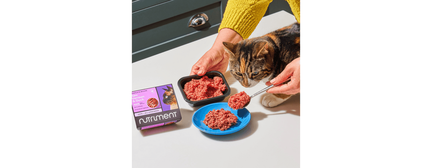 Nutriment Beef Formula Complete Raw Adult Cat Food 500g