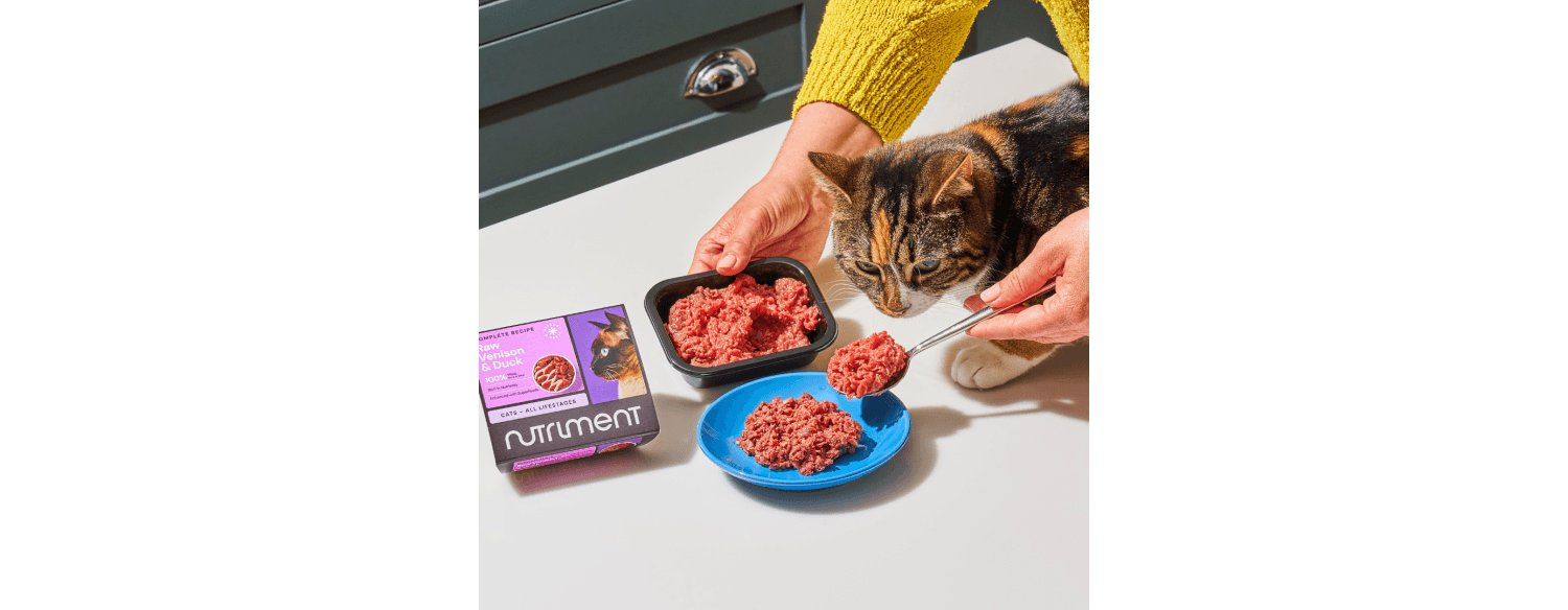  Nutriment Beef Formula Complete Raw Adult Cat Food 500g