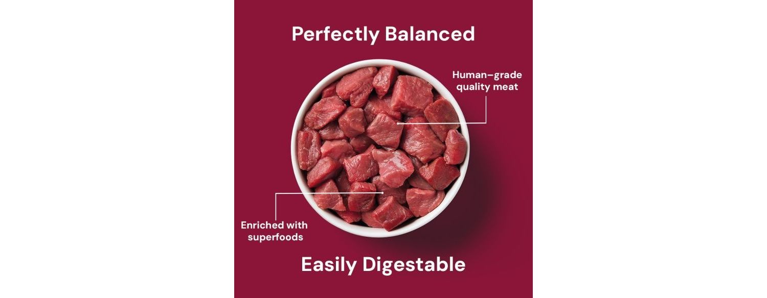  Nutriment Beef Formula Complete Raw Adult Cat Food 500g