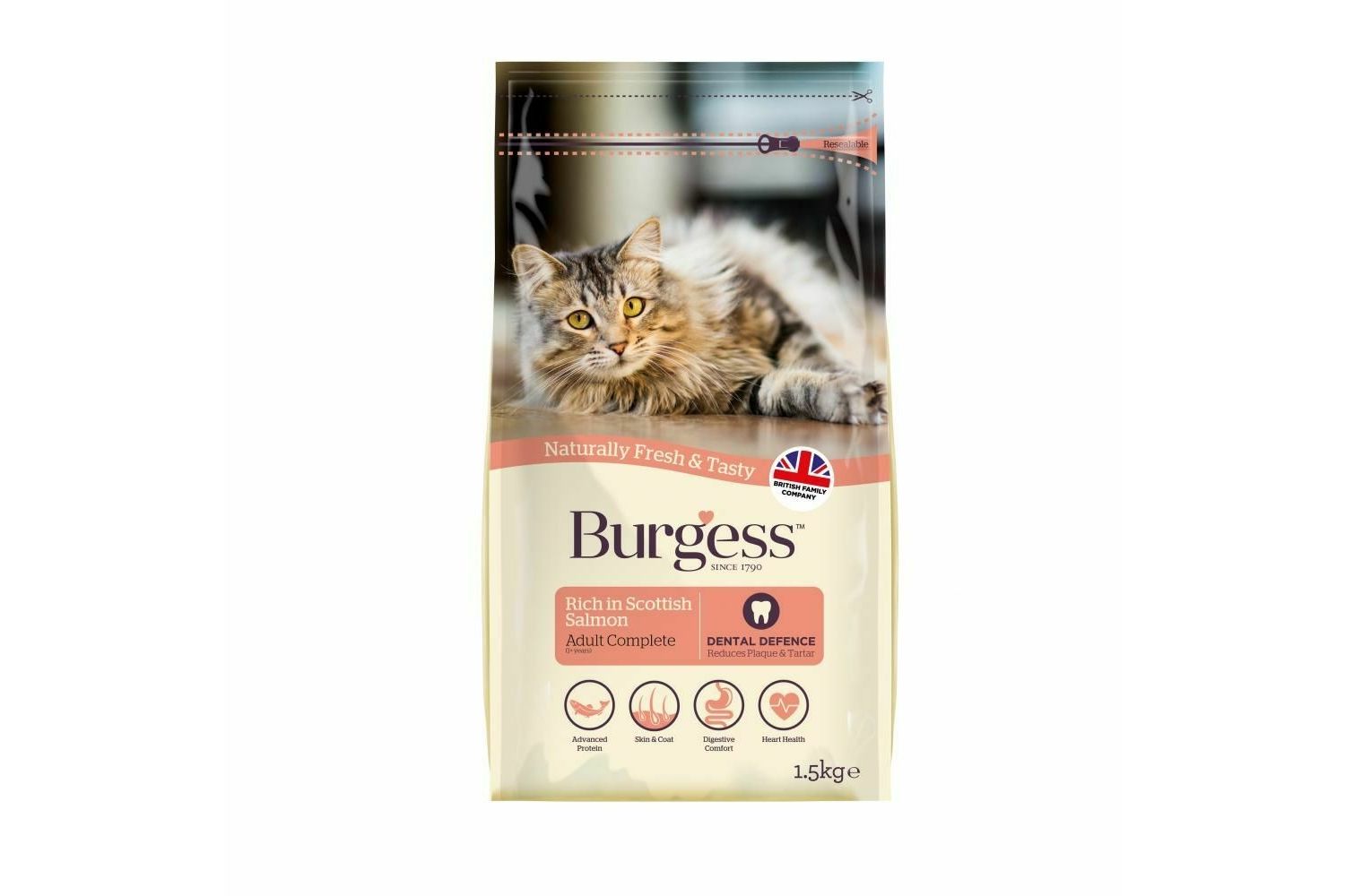  Burgess Adult Cat Scottish Salmon