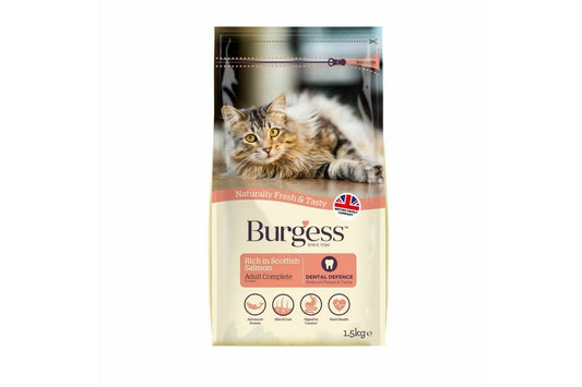  Burgess Adult Cat Scottish Salmon