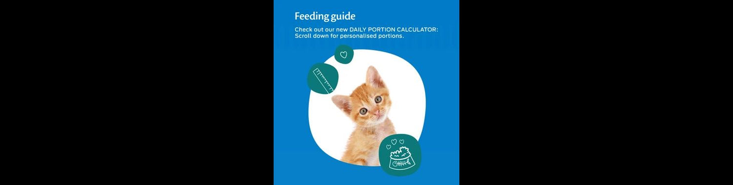  Felix As Good As It Looks Kitten Fish Selection In Jelly Wet Food