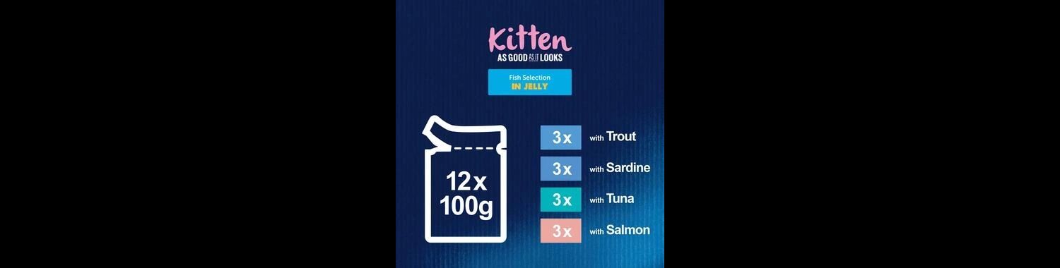  Felix As Good As It Looks Kitten Fish Selection In Jelly Wet Food