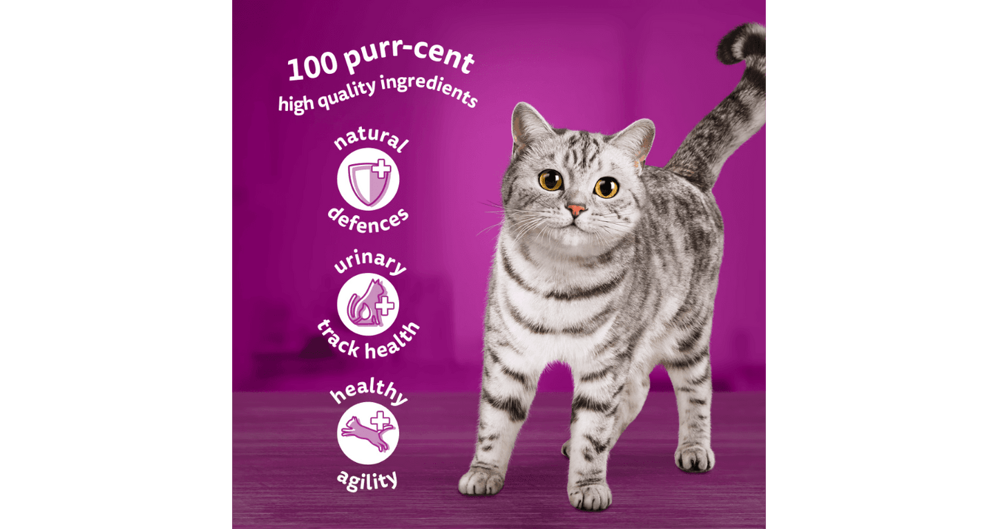  Whiskas 7+ Senior Pouches Poultry Feasts In Jelly Wet Cat Food
