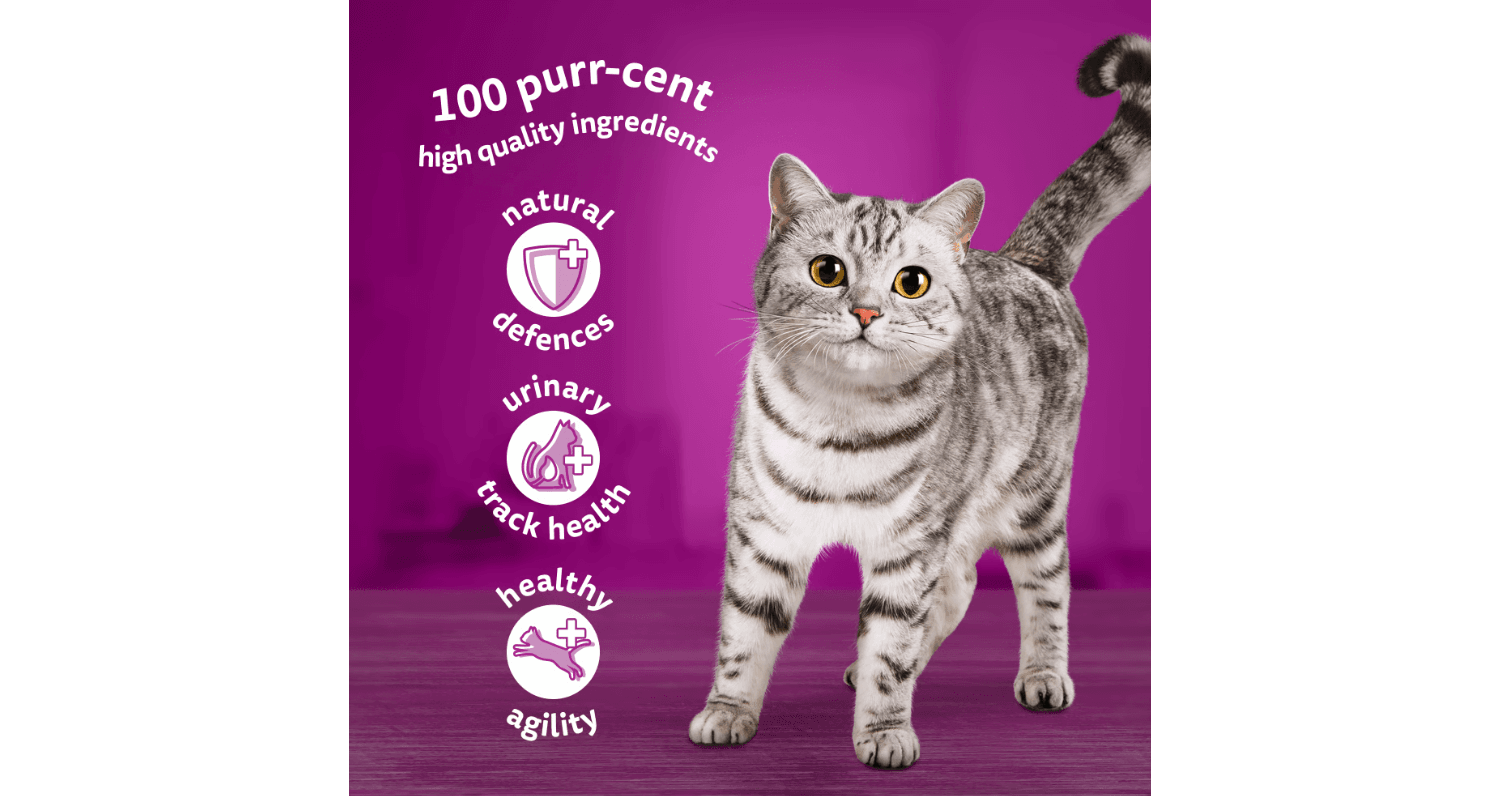  Whiskas 7+ Senior Pouches Poultry Feasts In Jelly Wet Cat Food