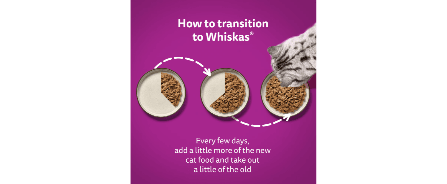  40 X Whiskas 1+ Adult Pouches Mixed Menu In Jelly Wet Cat Food 85g