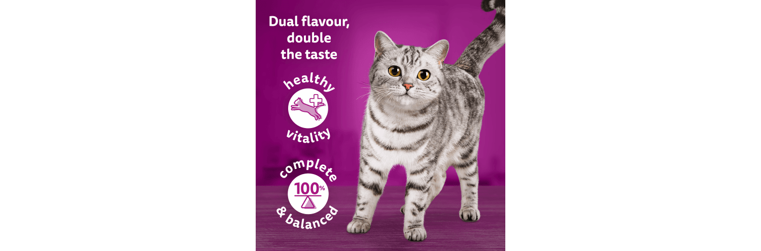  Whiskas 1+ Adult Duo Pouches Surf & Turf In Jelly Wet Cat Food