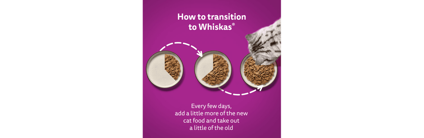 Whiskas 1+ Adult Duo Pouches Surf & Turf In Jelly Wet Cat Food