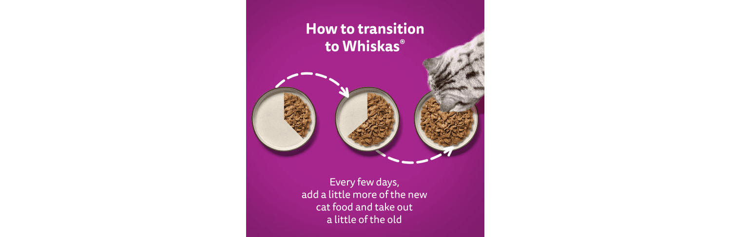  Whiskas 1+ Adult Duo Pouches Surf & Turf In Jelly Wet Cat Food