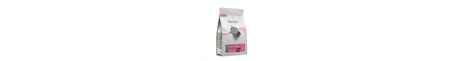  Sense 6 Optimal Start Kitten Food